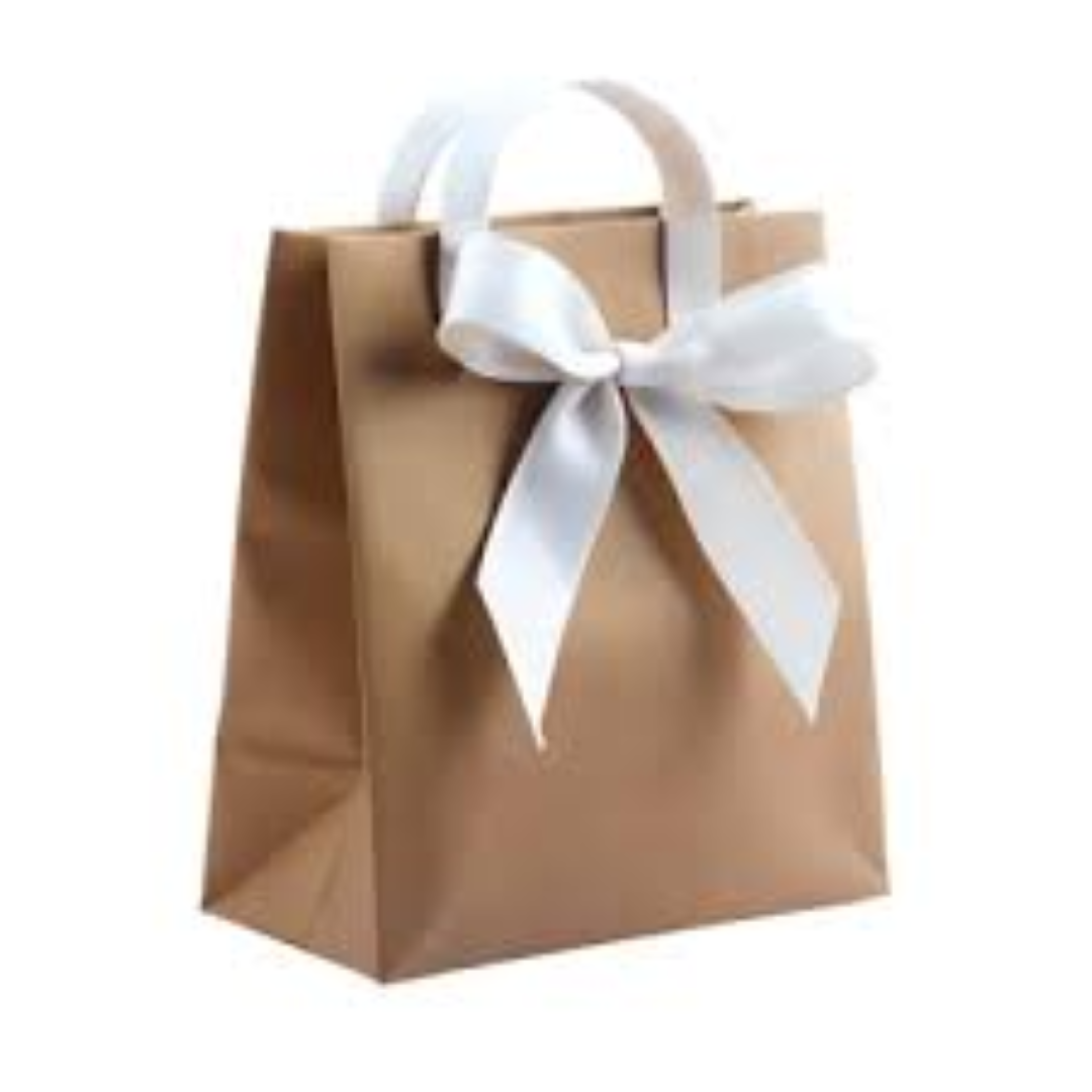 SBE GIFT BAG MEDIUM A